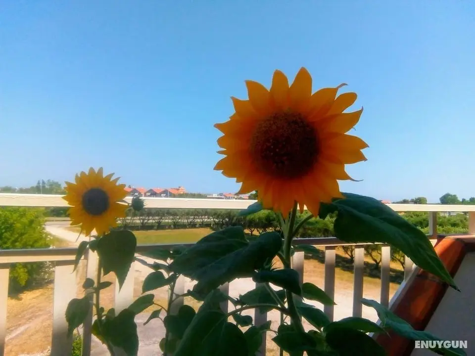 Triple Room for Rent With Private Bathroom in Molise - Wifi - Öne Çıkan Resim
