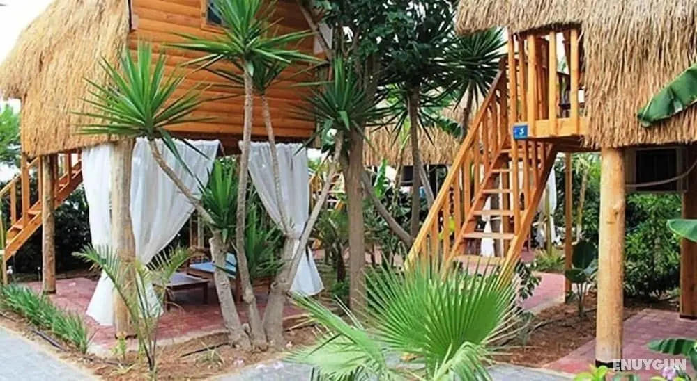 Triton Hotel & Bungalows - Öne Çıkan Resim