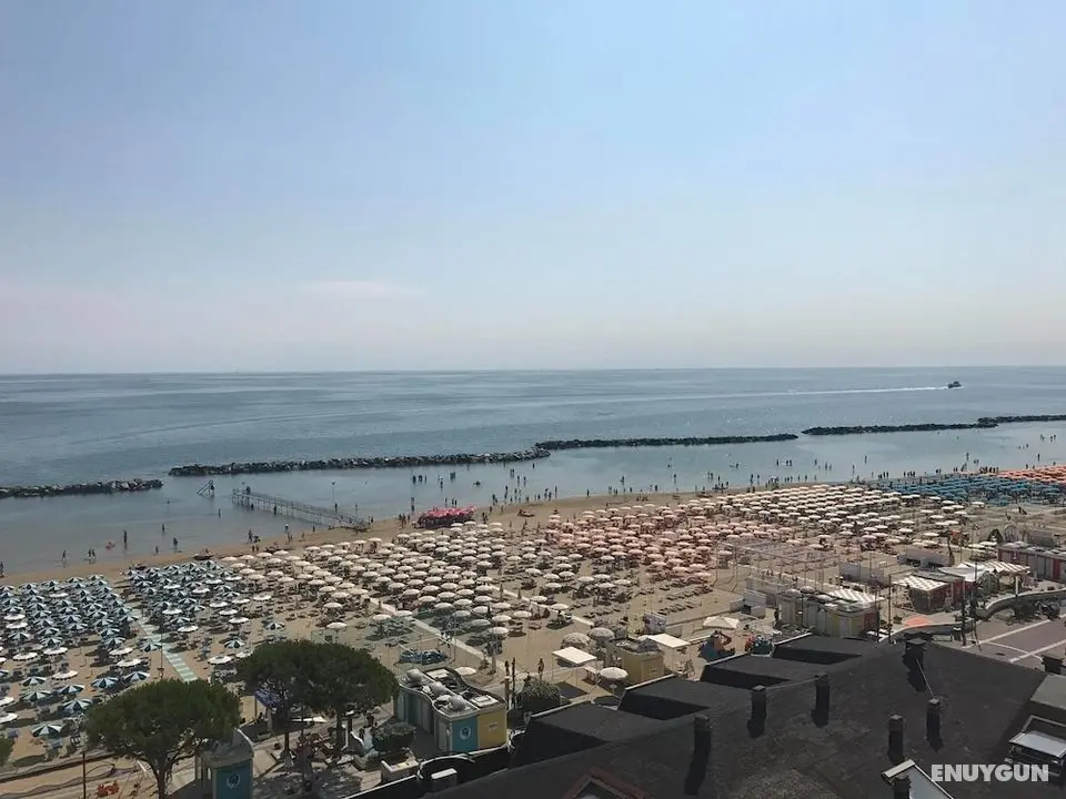 Hotel Tropical - Öne Çıkan Resim