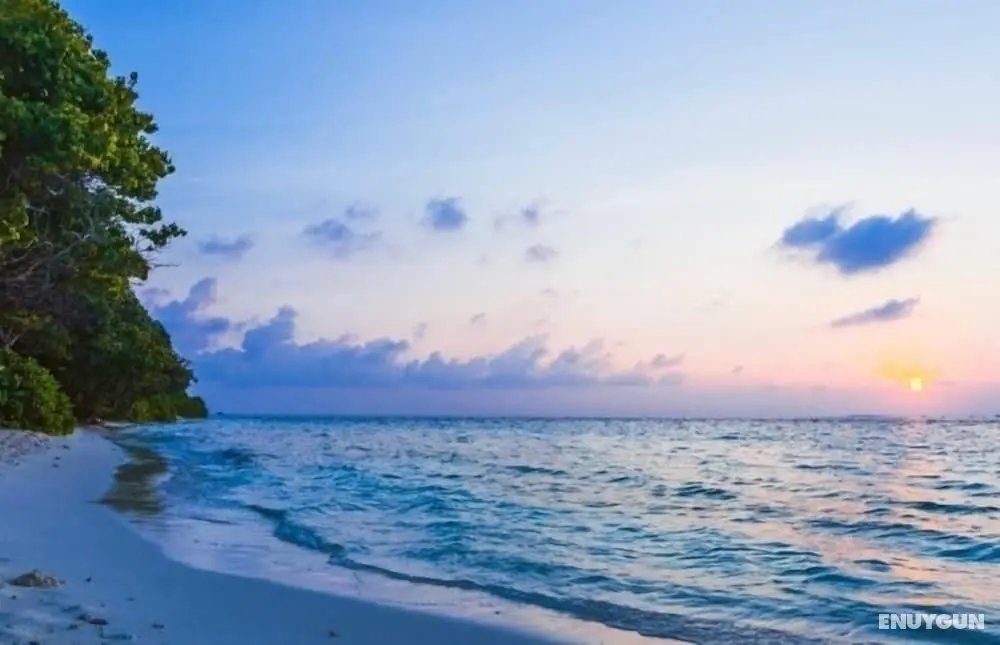 Tropical Biosphere Hotel - Plaj