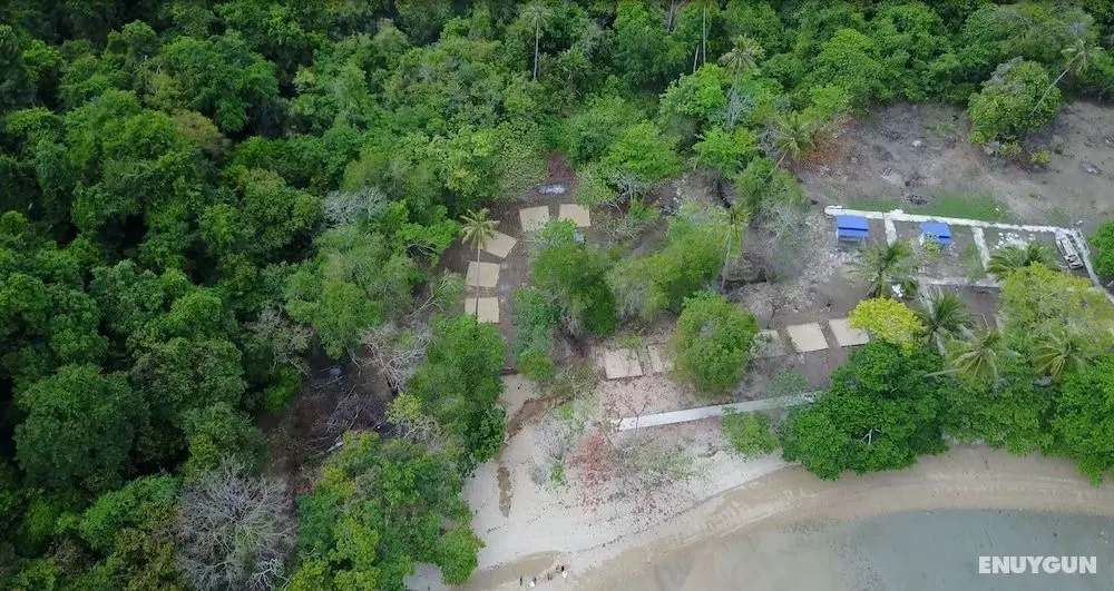 Tropical Eco Camping - Dış Mekan