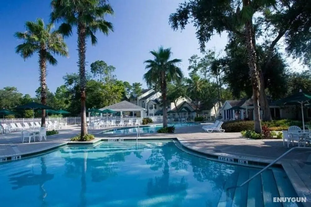 Tropical Enchanted Oaks Villa - Havuz