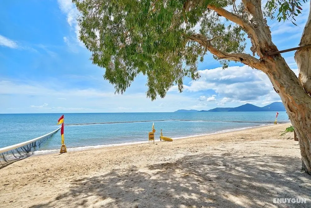 Tropical Oasis near Beach - Öne Çıkan Resim