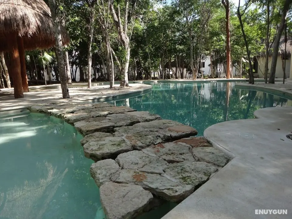 Tropical Paradise Apartment - Öne Çıkan Resim