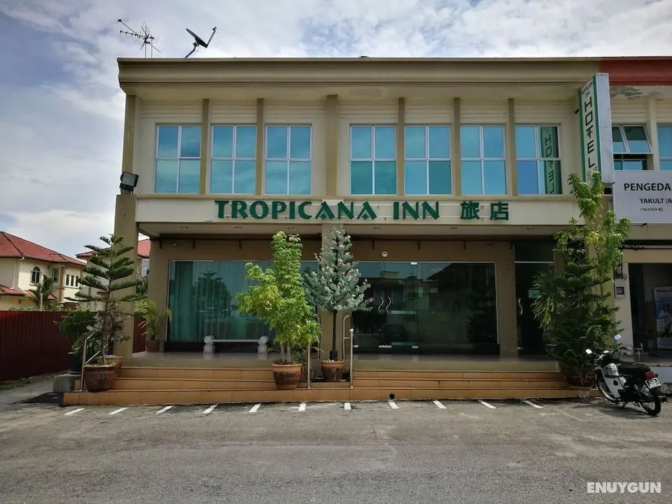 Tropicana Inn - Dış Mekan