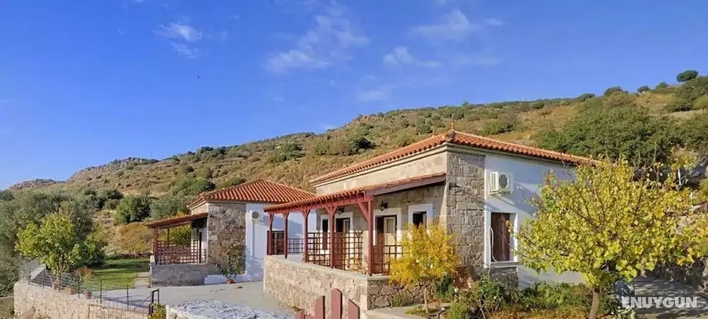 Troyan Hill Apartments - Öne Çıkan Resim
