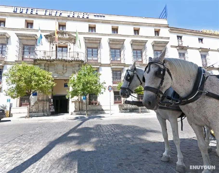 TRYP Jerez Hotel - Genel