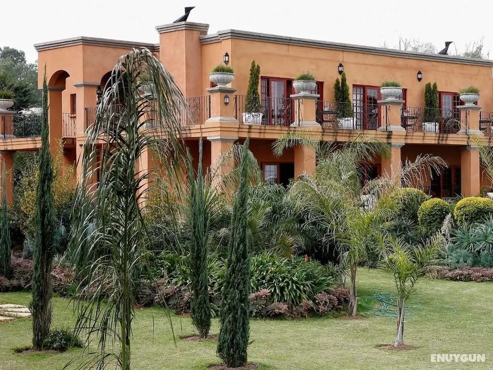 Tuareg Guest House - Öne Çıkan Resim
