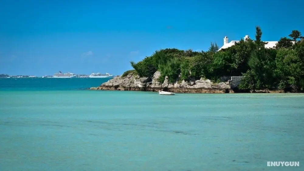 Tucks Paradise - Minutes to Beaches - Oda
