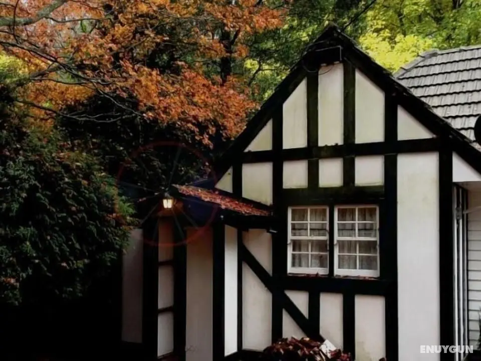 Tudor Cottages Mt Dandenong - Dış Mekan