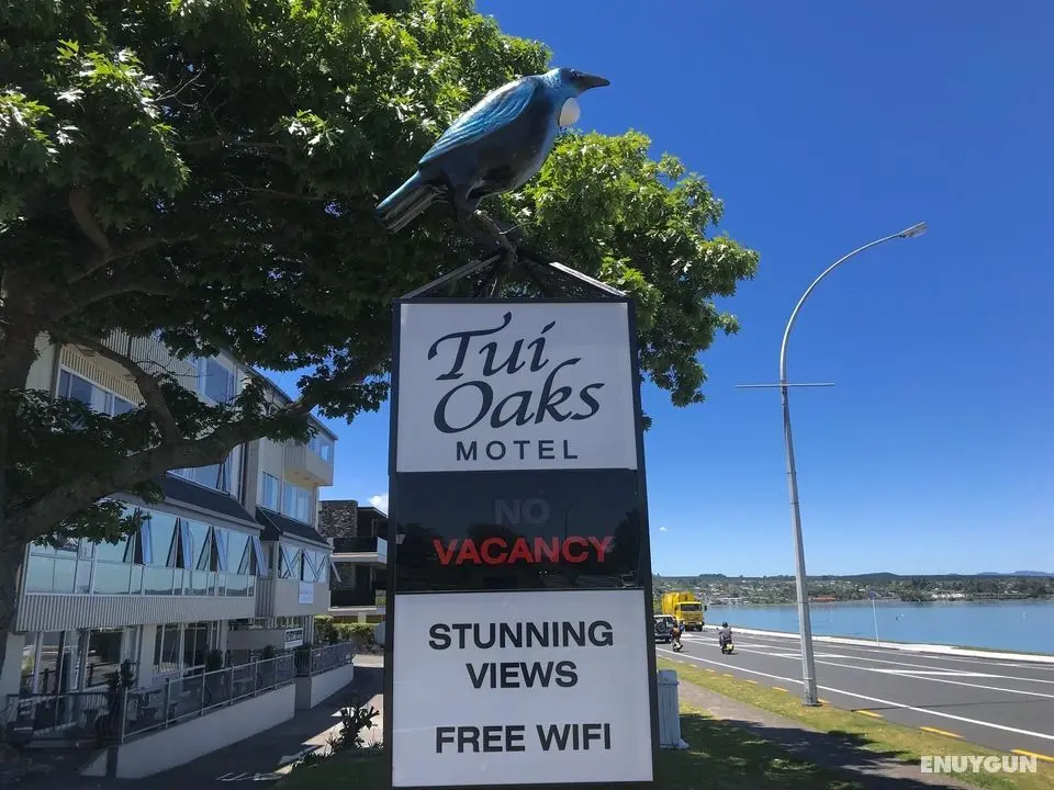 Tui Oaks Motel - Öne Çıkan Resim