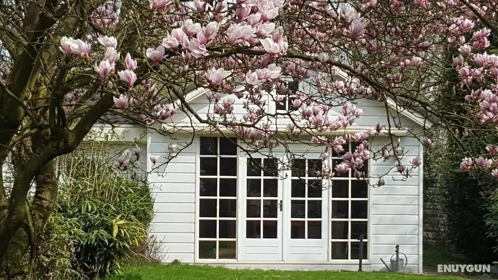 Tuinkamer - Öne Çıkan Resim