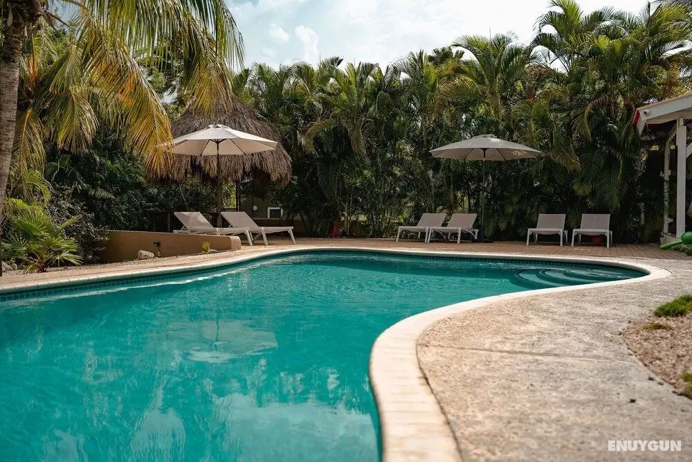 TUK Tropical Boutique Resort Jan Thiel - Öne Çıkan Resim