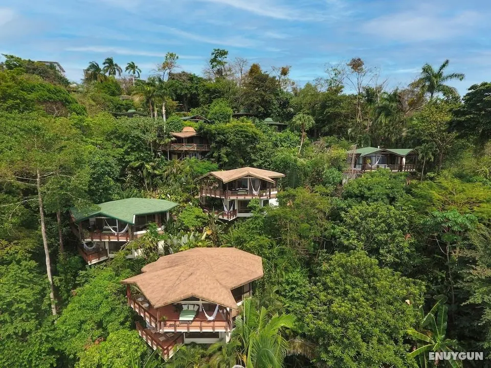Tulemar Bungalows & Villas - Öne Çıkan Resim