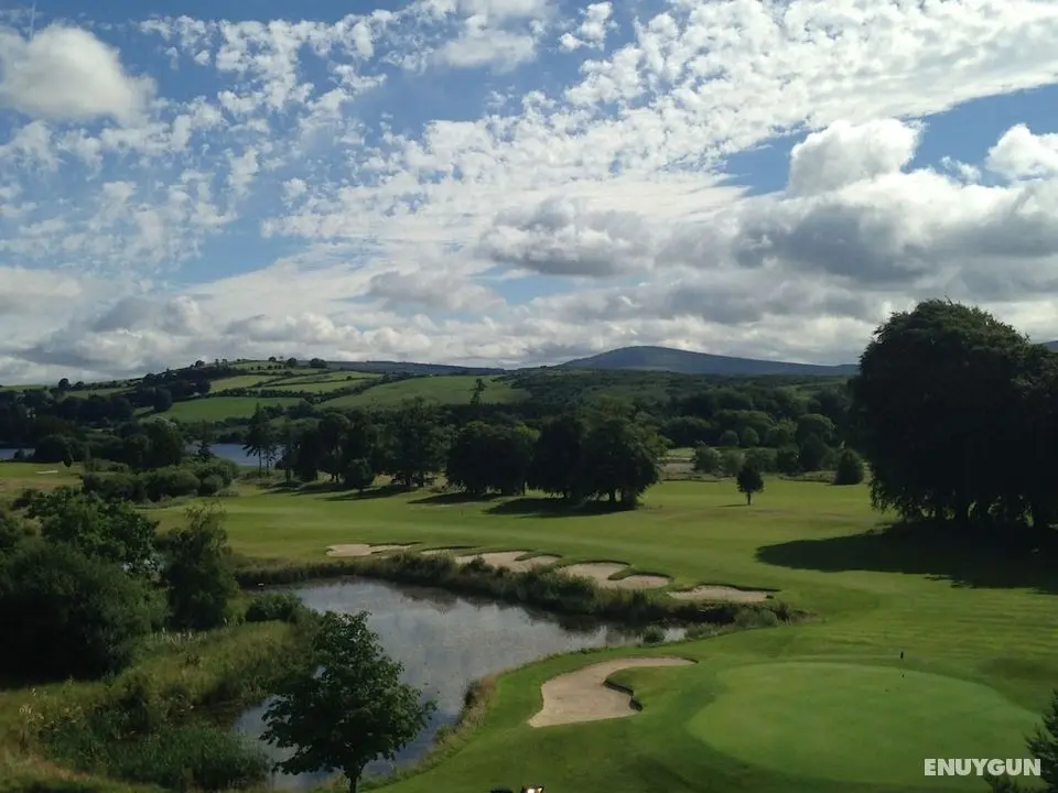 Tulfarris Hotel & Golf Resort - Golf