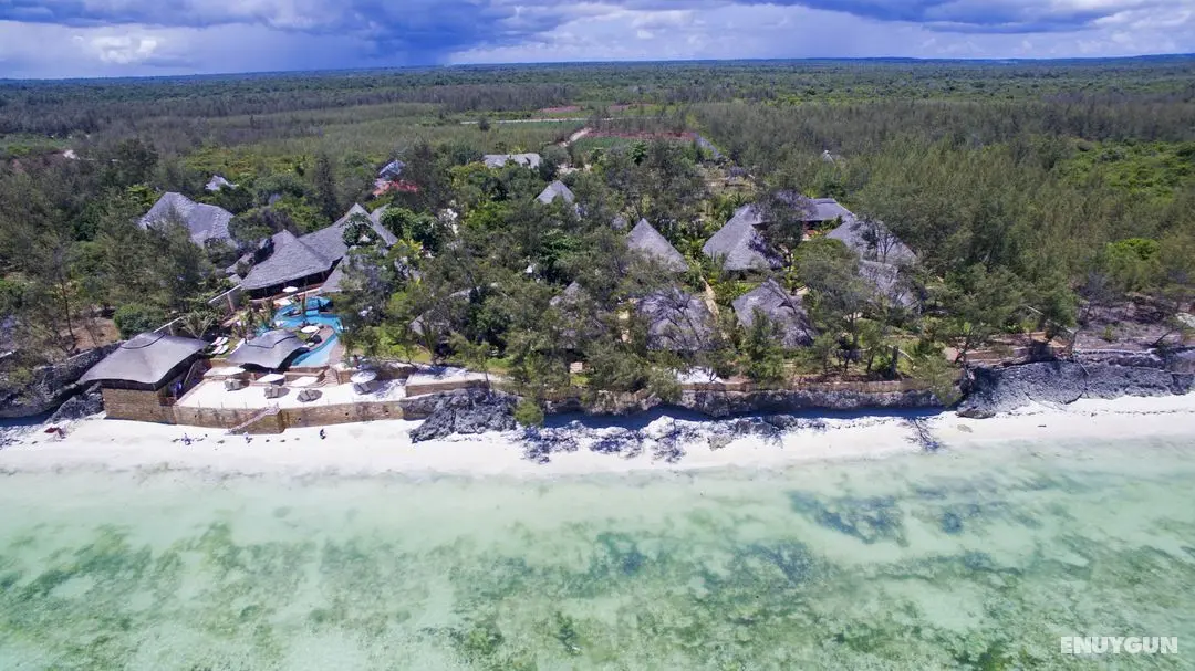 Tulia Zanzibar - Genel