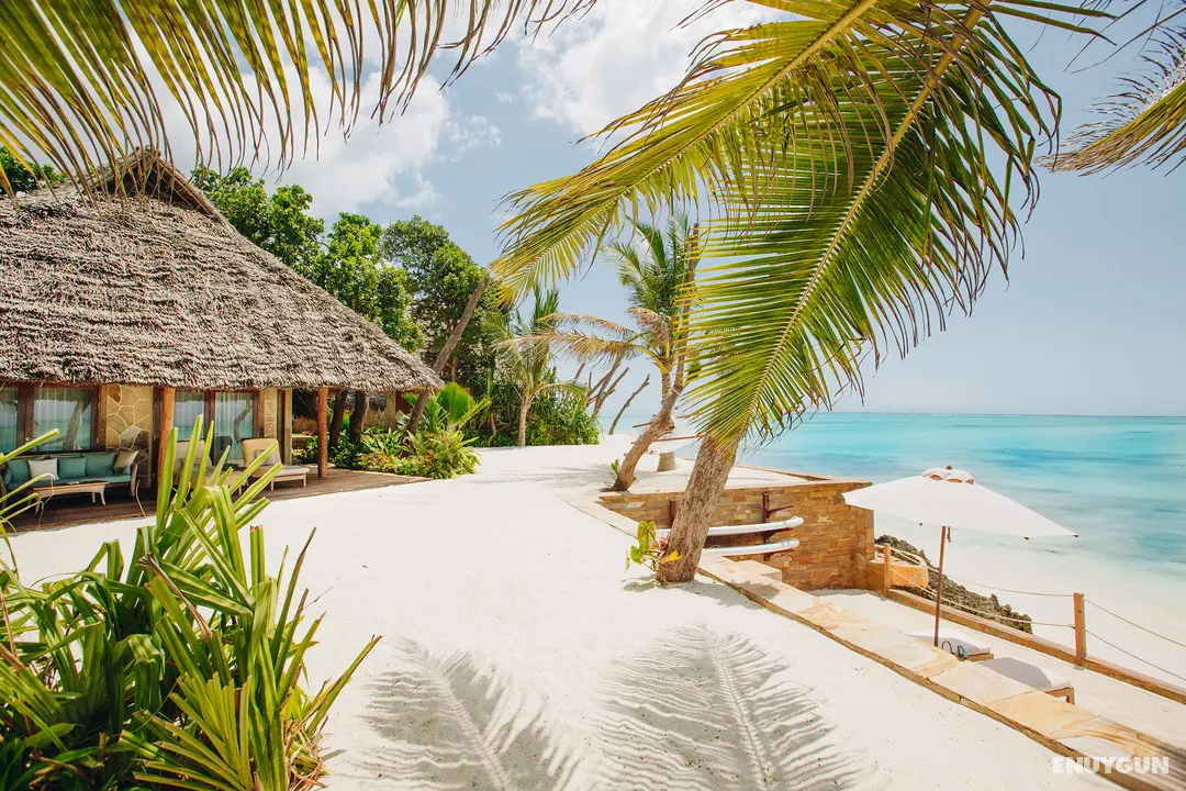 Tulia Zanzibar - Oda