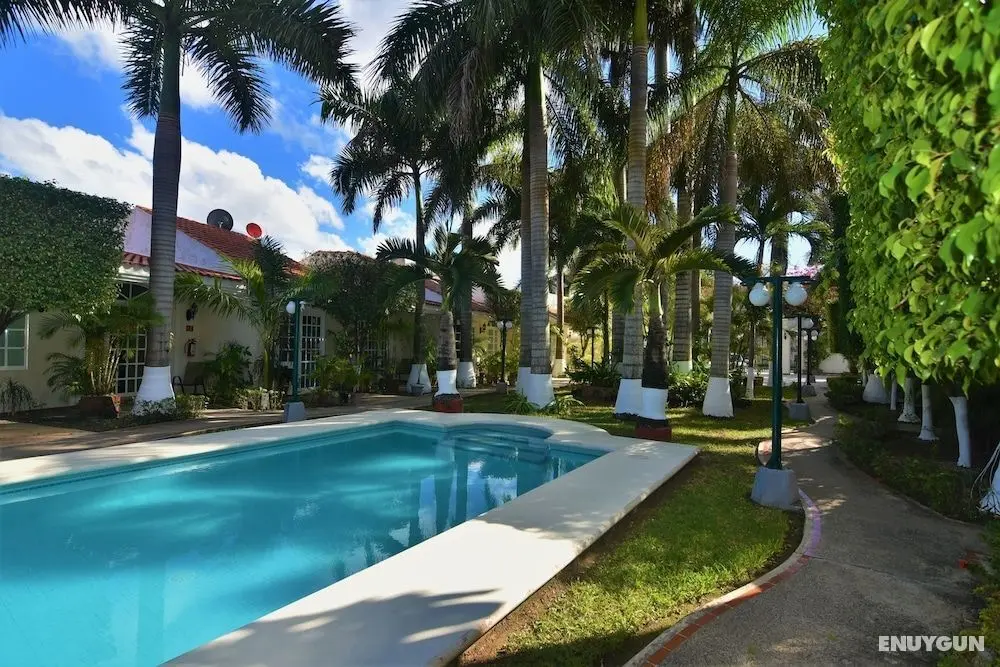 Tulipanes Cancun - Öne Çıkan Resim