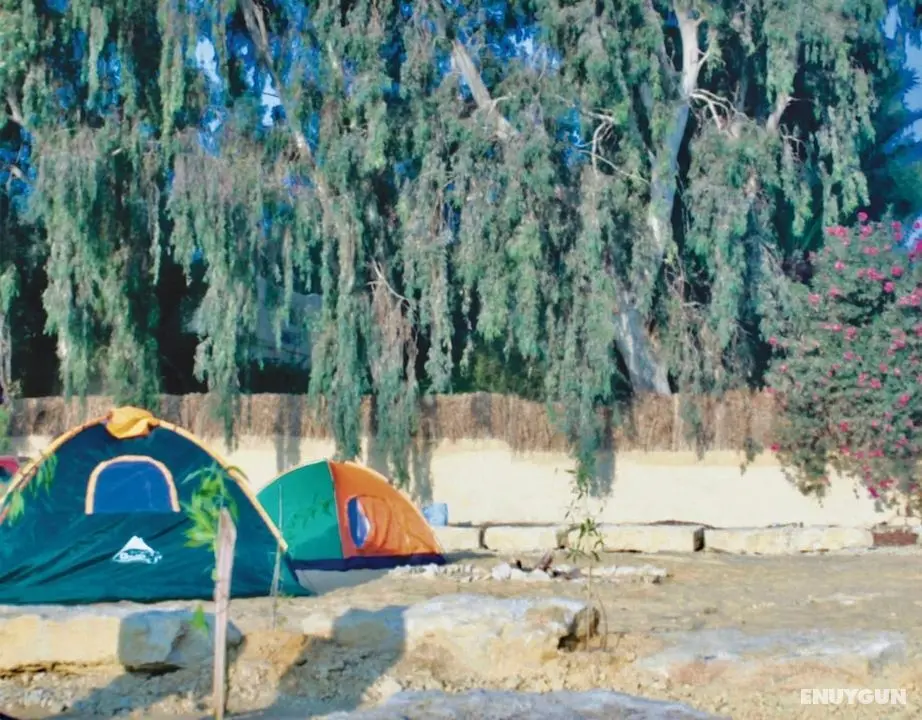 Tunis Tone - Tunis Village Campsite - Öne Çıkan Resim