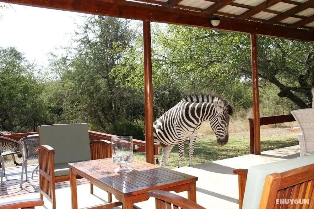 Turaco Lodge - Öne Çıkan Resim