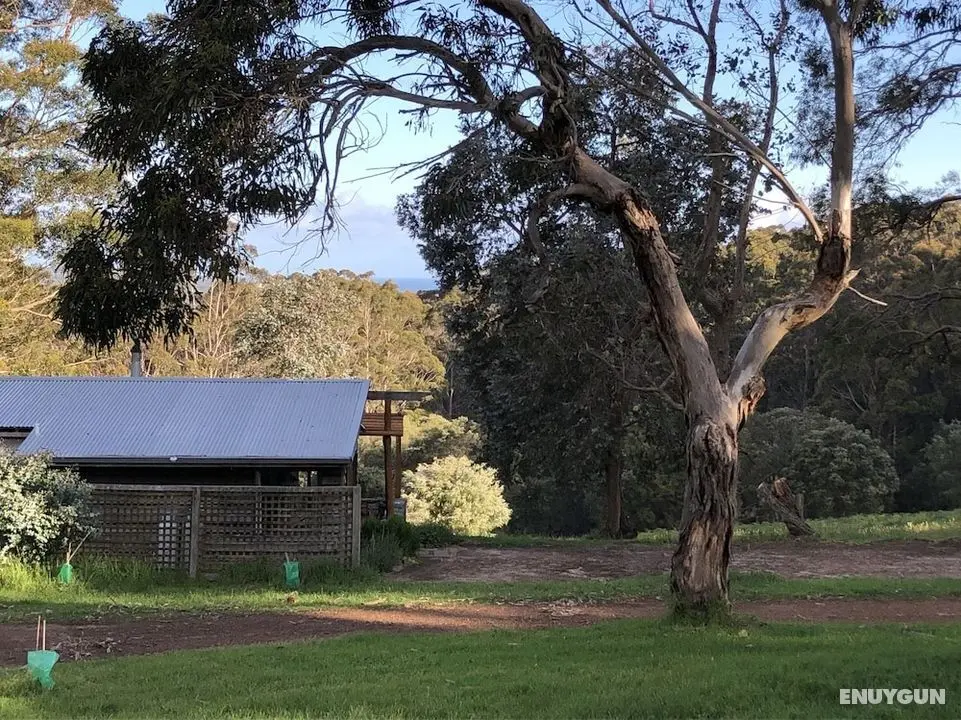 Turicum Chalets AT Monkey Rock Winery - Oda