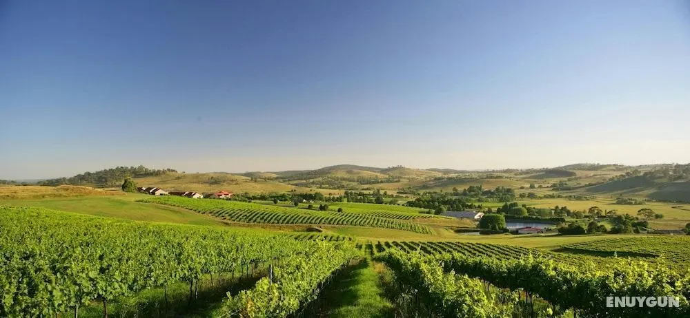 Turners Vineyard Motel and Function Centre - Öne Çıkan Resim