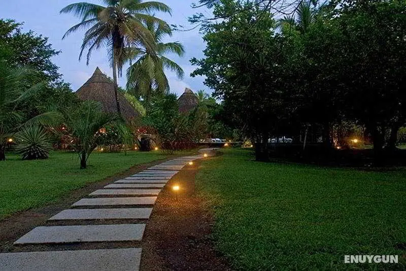 Turtle Beach Lodge - Genel