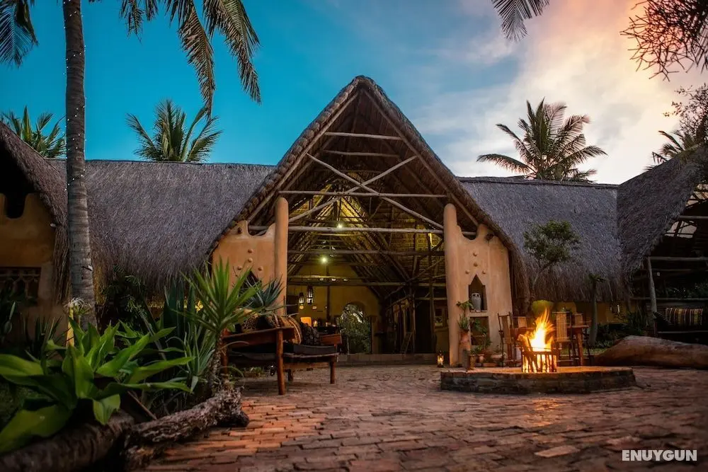 Turtle Cove Lodge and Yoga Shala - Dış Mekan