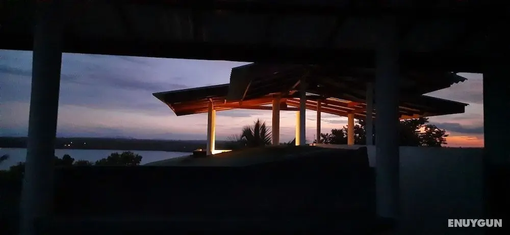 Turtle Paradise - Öne Çıkan Resim