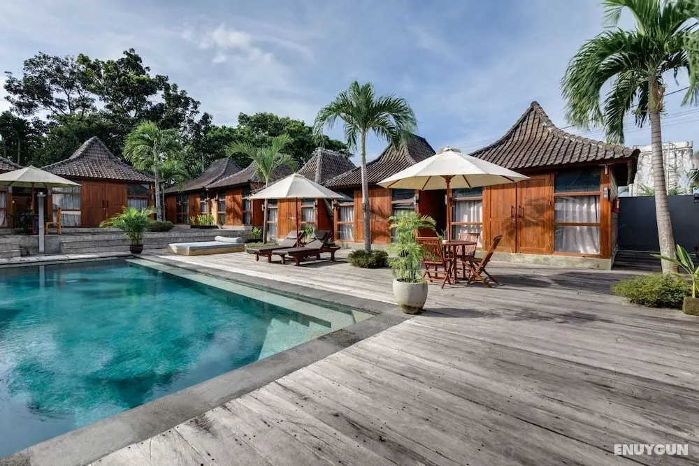Turtle Villas Canggu - Havuz