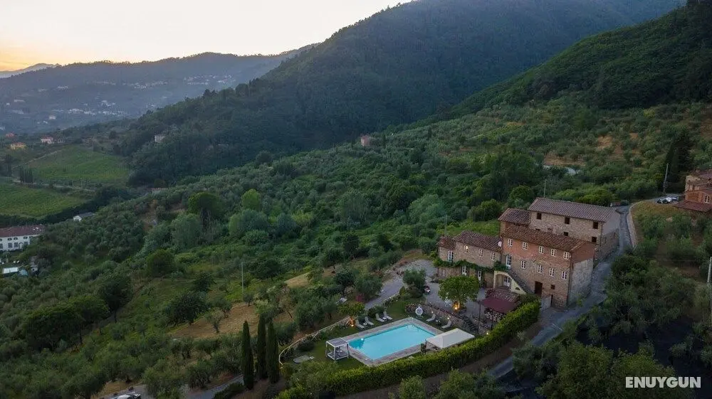 Tuscan Fizz a Traditional Stone Farmhouse With Private Pool and Amazing View Among the Vineyards in Lucca - Oda