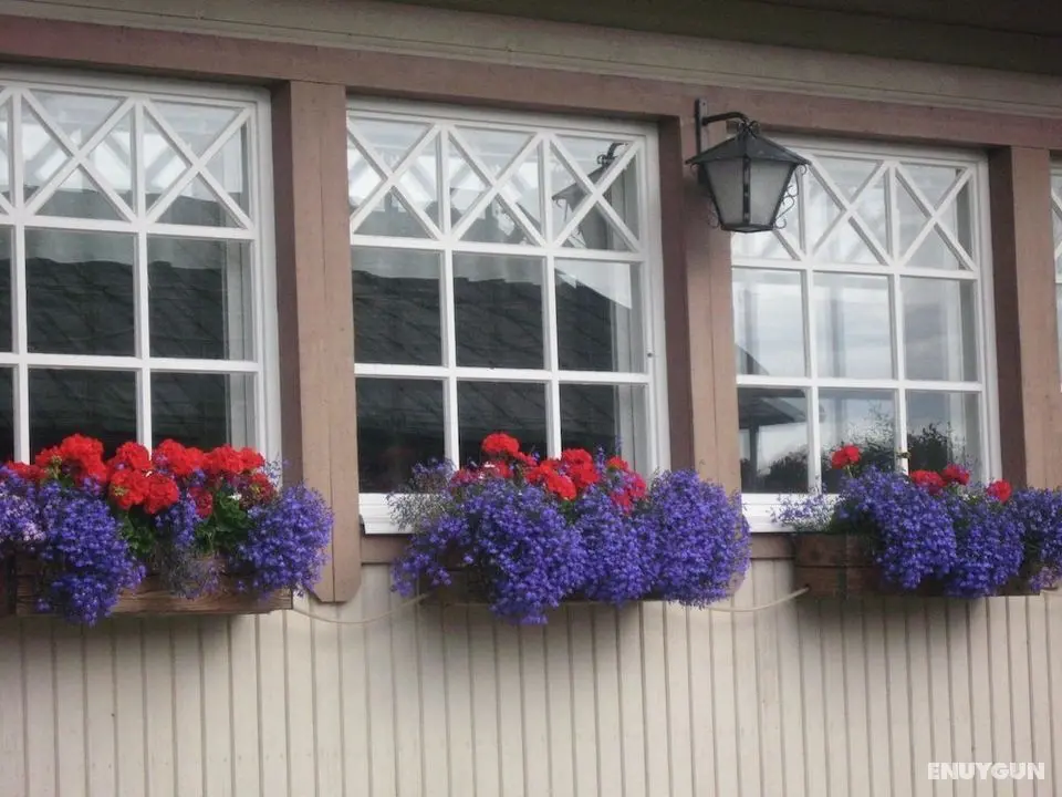 Tuukkalan tila B & B - Öne Çıkan Resim