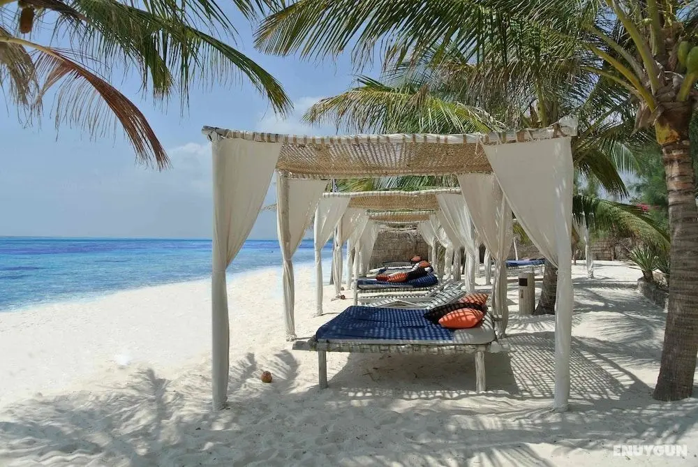 Twiga Beach Resort & Spa - Öne Çıkan Resim