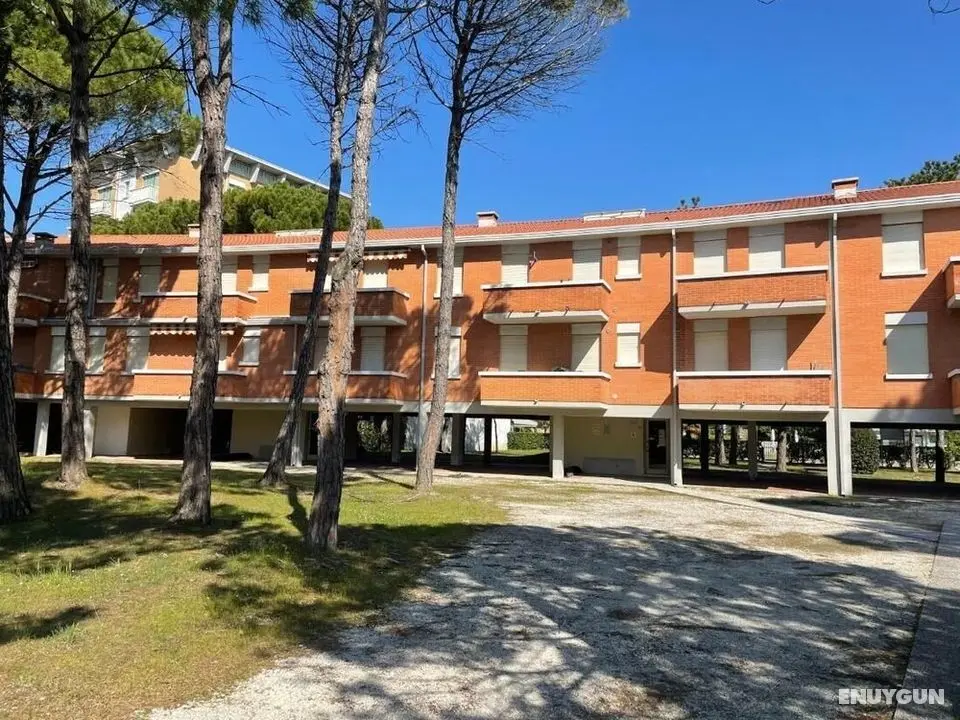 Twin Pine Trees Flats, Near Beach - Dış Mekan