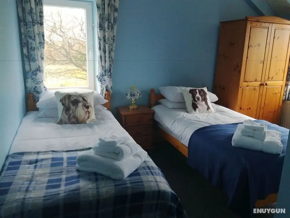 Ty Newydd Bed and Breakfast - Öne Çıkan Resim
