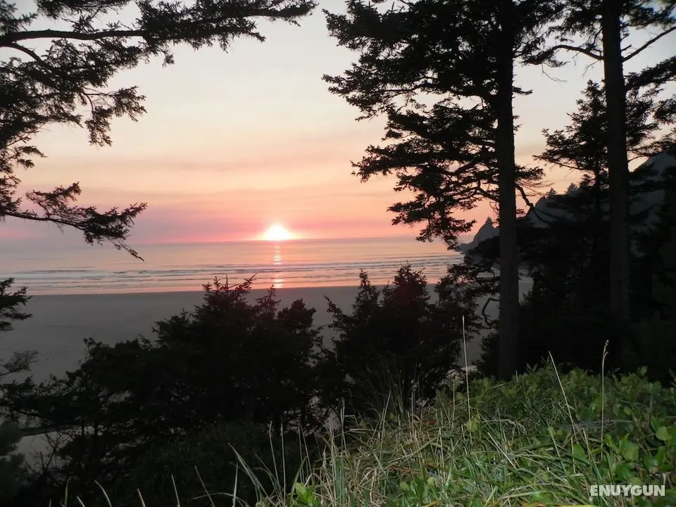 Tyee Lodge Oceanfront B&B - Öne Çıkan Resim