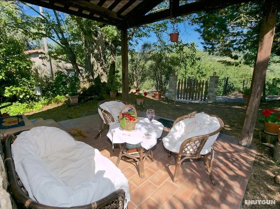 Typical Little Italian Property in the Middle of Fruit Trees - Oda Düzeni
