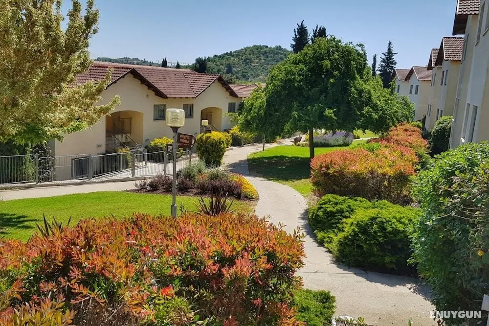 Tzuba Hotel - Öne Çıkan Resim