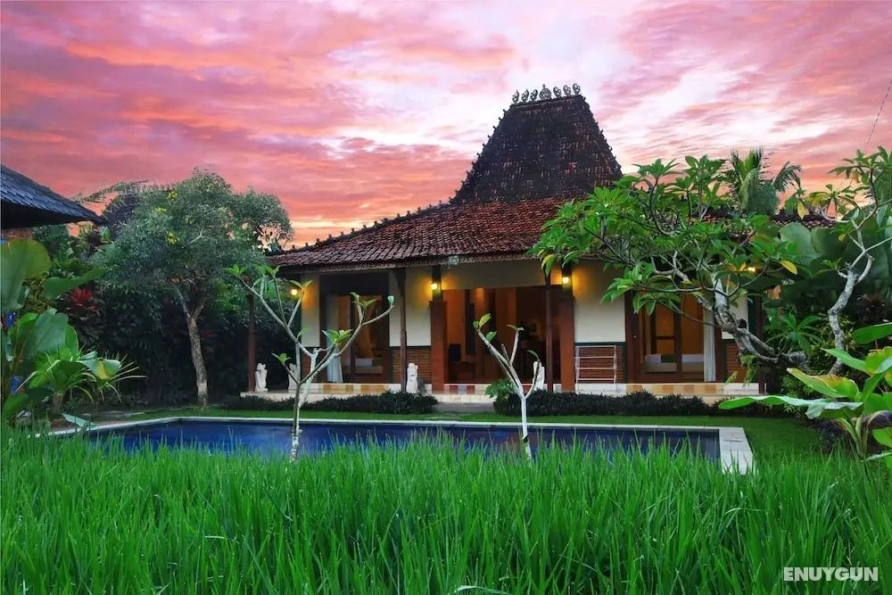 Ubud Heaven Penestanan - Öne Çıkan Resim
