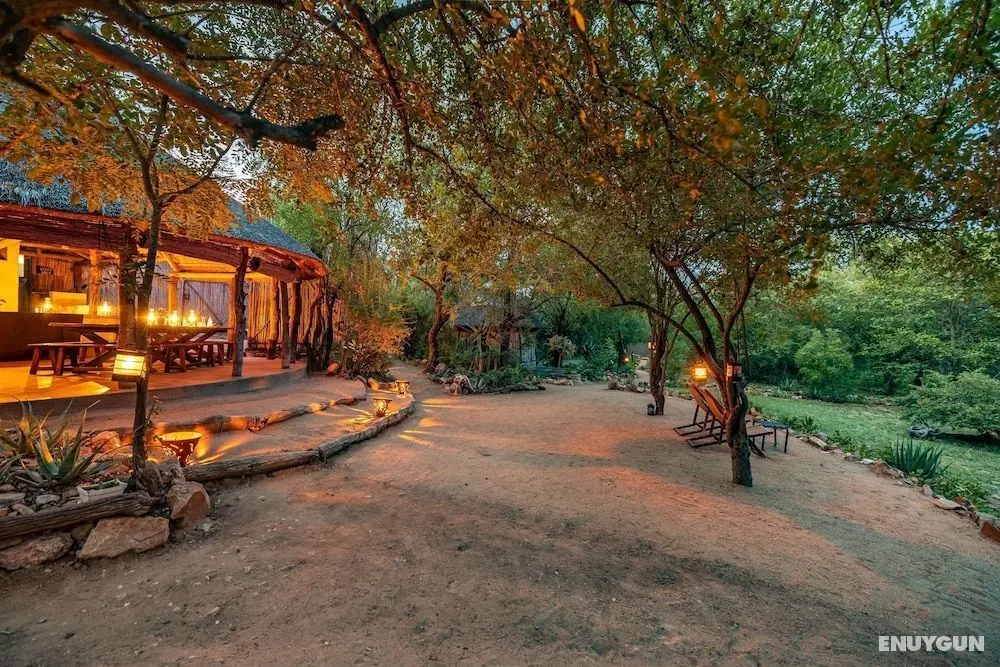Umlani Bushcamp - Lodge - Öne Çıkan Resim