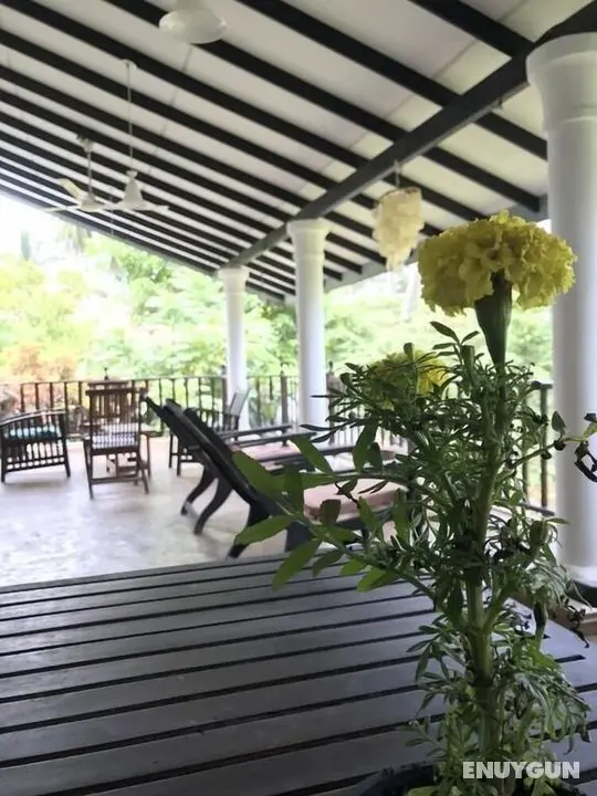 Unawatuna Hostel Honey Packers - Öne Çıkan Resim
