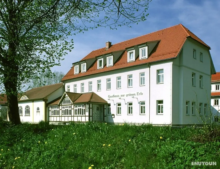 Hotel und Landgasthaus Zur grünen Erle - Öne Çıkan Resim