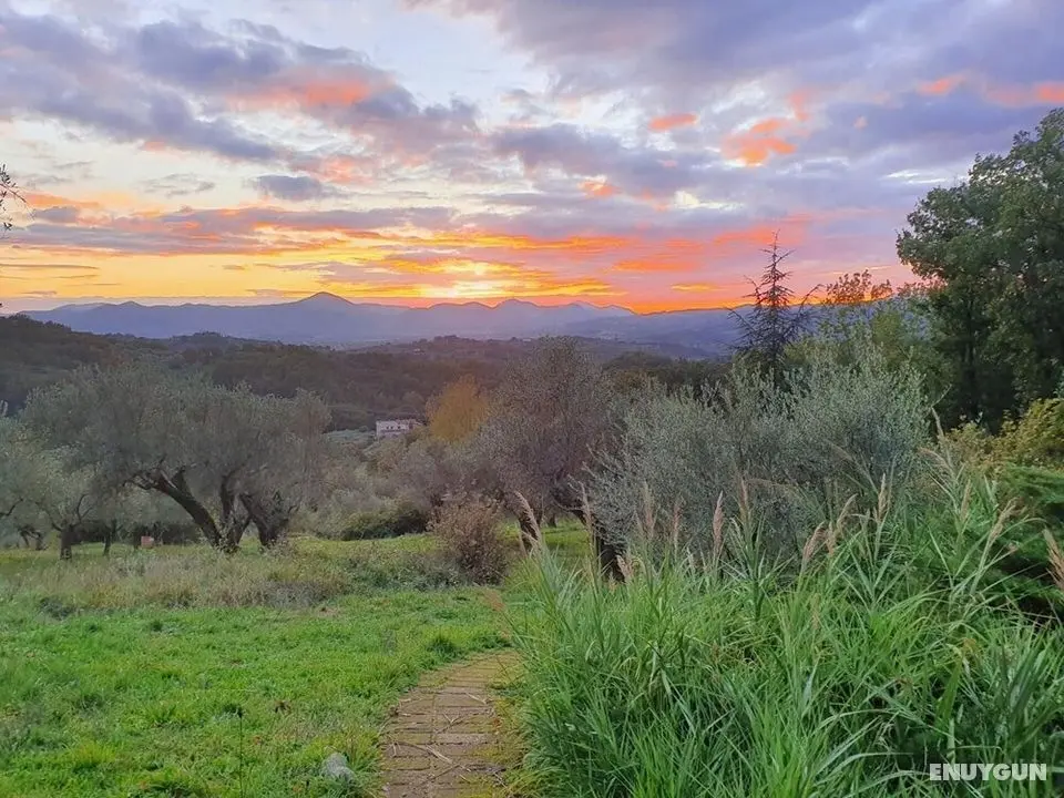Unique Countryside Loft Room, Near Naples - Dış Mekan