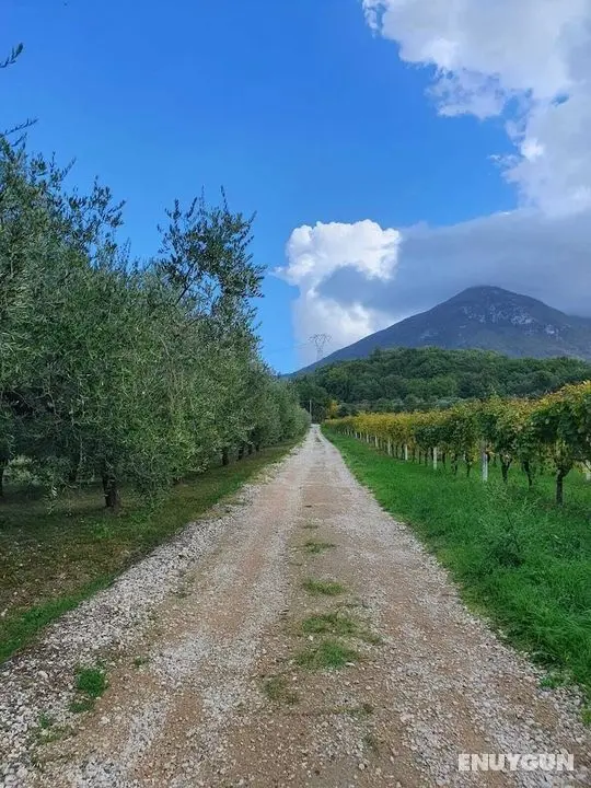Unique Countryside Loft Room, Near Naples - Öne Çıkan Resim