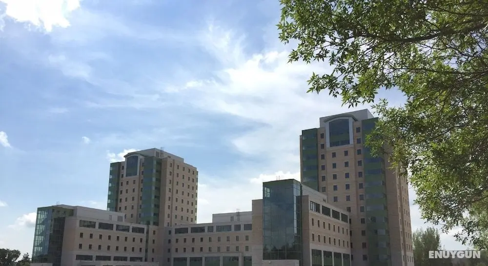 University of Regina - Dış Mekan