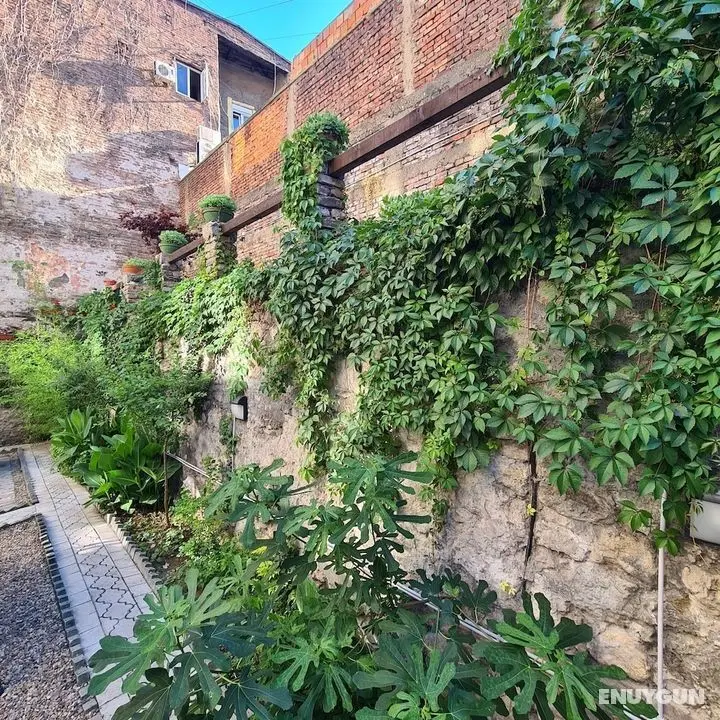 UP accommodation - Dış Mekan