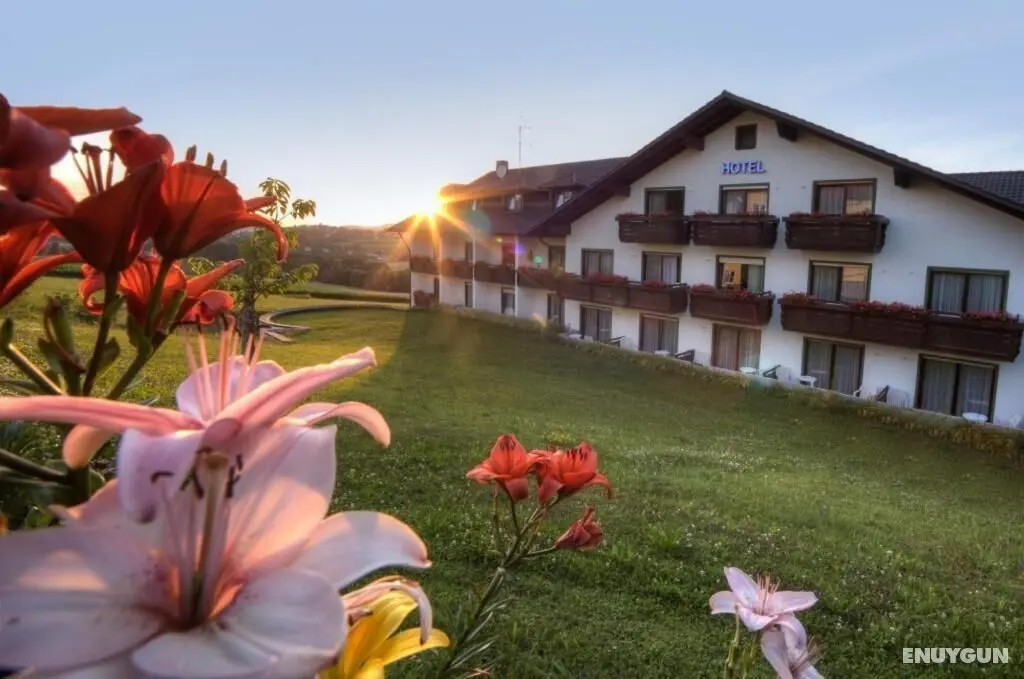 Urlaubshotel Binder - Dış Mekan