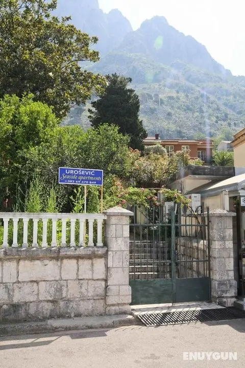 Urosevic Seaside Apartments - Öne Çıkan Resim