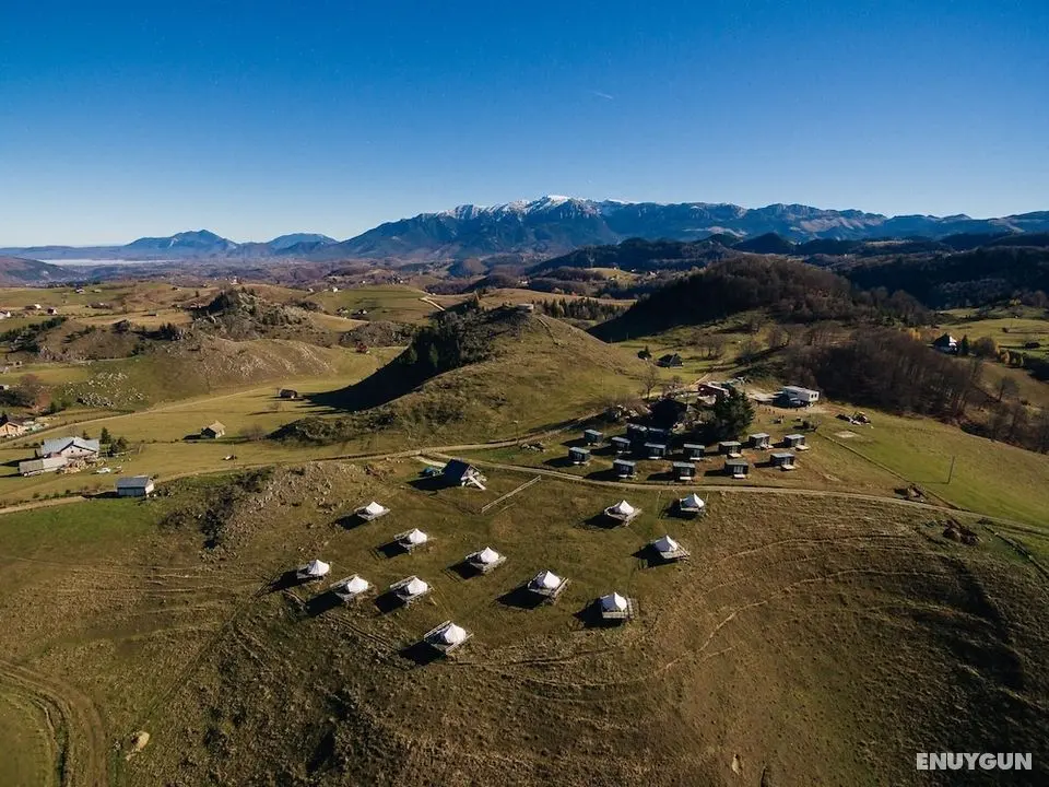 Ursa Mica Glamping Resort - Dış Mekan