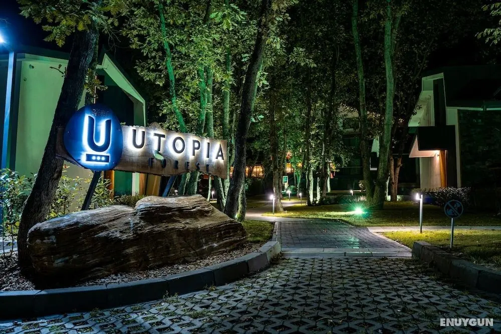Utopia Forest - Öne Çıkan Resim